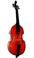 Finished Viol
